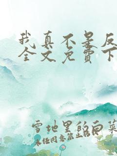 我真不是反派呀全文免费下载