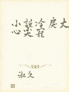 小说冷戾大佬的心尖宠