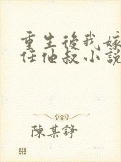 重生后我嫁给前任他叔小说