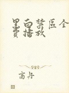 黑白禁区全集免费播放