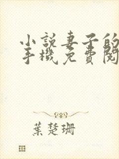 小说妻子的背叛手机免费阅读全文