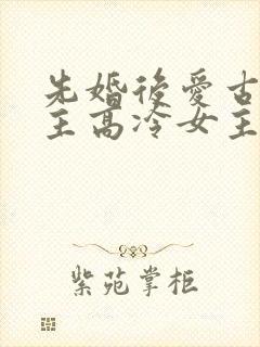 先婚后爱古言男主高冷女主淡然