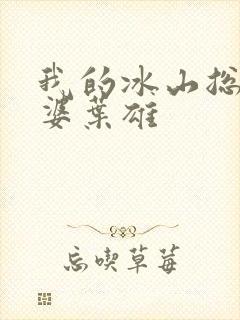 我的冰山总裁老婆叶雄