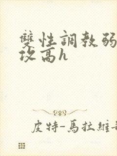 双性调教弱攻虐攻高h