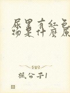 尿里有红色絮状物是什么原因?