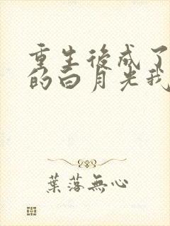 重生后成了皇帝的白月光我见青山