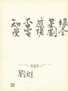 知否应是绿肥红瘦电视剧全集免费