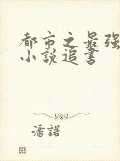 都市之最强狂兵小说追书