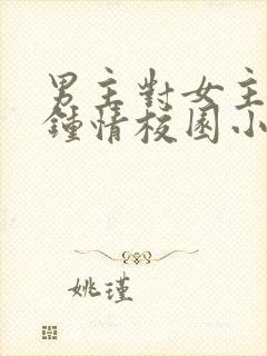 男主对女主一见钟情校园小说