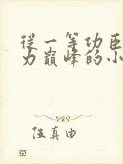 从一等功臣到权力巅峰的小说最新