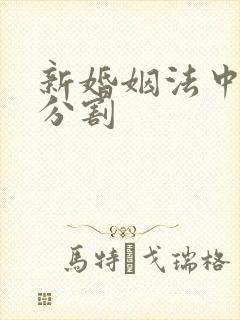 新婚姻法中财产分割