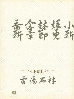 乔念林烨小说最新章节更新时间