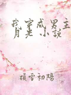 我穿成男主的白月光 小说