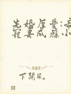 先婚厚爱:帝少宠妻成瘾小说