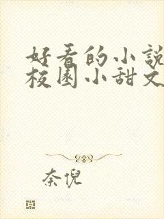 好看的小说言情校园小甜文