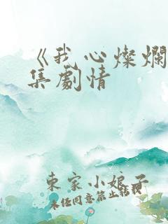 《我心灿烂》分集剧情