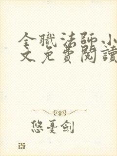 全职法师小说原文免费阅读