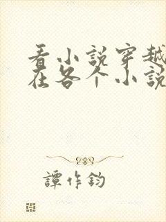 看小说穿越之我在各个小说当女主