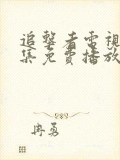 追击者电视剧全集免费播放高清