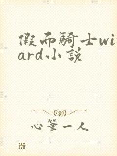 假面骑士wizard小说