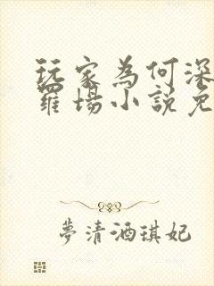 玩家为何深陷修罗场小说免费阅读