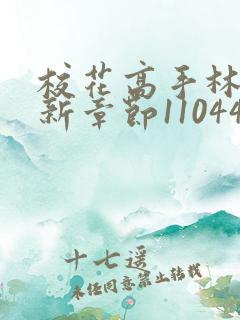 校花高手林逸最新章节11044