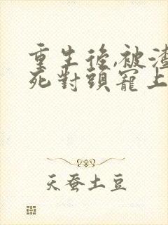 重生后,被渣男死对头宠上天全集