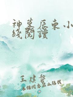 神墓辰东小说在线阅读