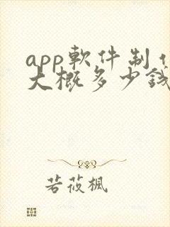 app软件制作大概多少钱