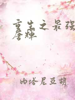 重生之最强大亨唐辉