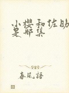 小樱和佐助结婚是哪集