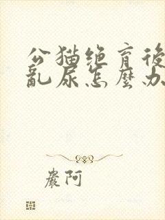 公猫绝育后还会乱尿怎么办