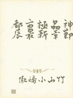 都市极品神医叶辰最新章节