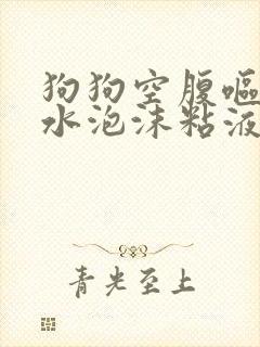 狗狗空腹呕吐黄水泡沫粘液