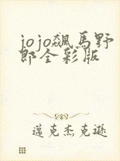 jojo飙马野郎全彩版