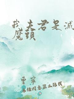 我夫君是灭世大魔头