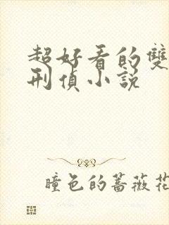 超好看的双男主刑侦小说