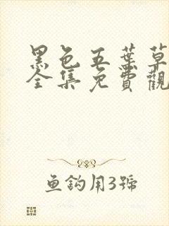 黑色五叶草动漫全集免费观看