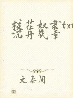 校花奴隶txt沉舟几章