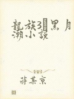 龙族3·黑月之潮小说