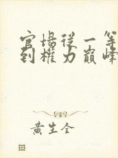 官场从一等功臣到权力巅峰小说