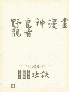 野良神漫画在线观看
