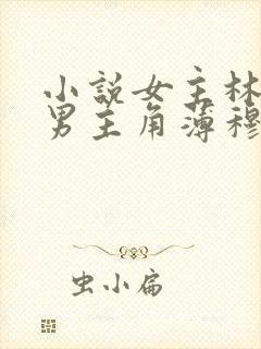 小说女主林恩恩男主角薄穆寒的小说