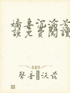 娇妻沉沦兮夜小说免费阅读