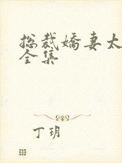 总裁娇妻太甜了全集