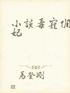 小说毒宠佣兵王妃