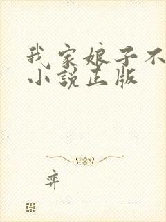 我家娘子不对劲小说正版