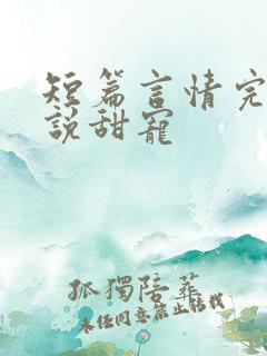 短篇言情完结小说甜宠