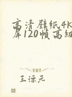 高清壁纸4k全屏120帧高级感女