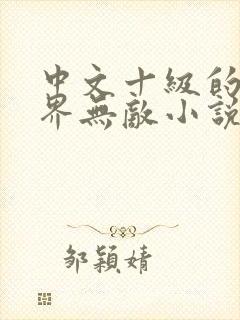 中文十级的我异界无敌小说